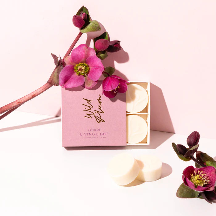 Living Light Wild Plum Soy Melts (4)